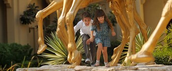 Childrens Play Area - Outdoor