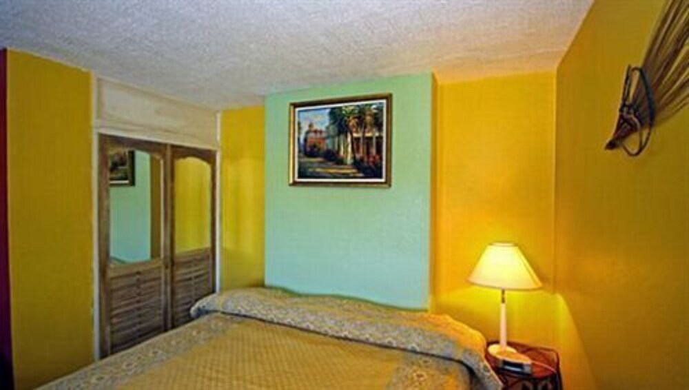 Apartment, 1 Bedroom, Multiple View - Guestroom