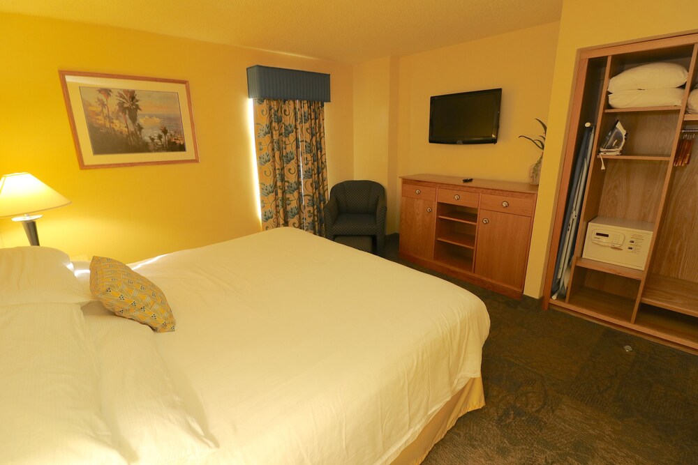 Luxury Suite, 1 Bedroom - Guestroom