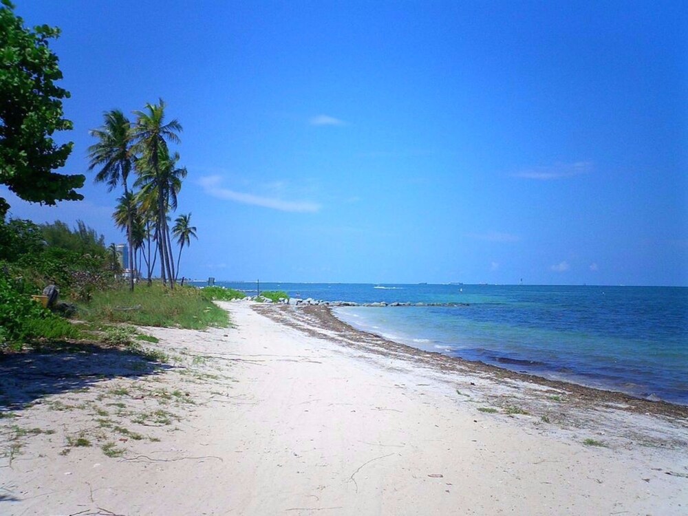 Beach/Ocean View