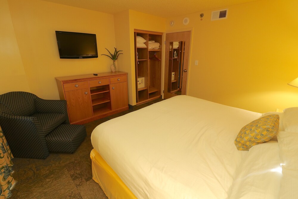 Luxury Suite, 1 Bedroom - Guestroom