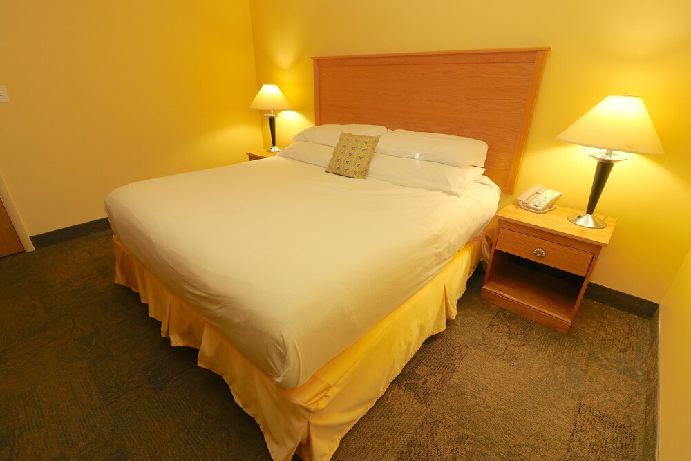 Luxury Suite, 1 Bedroom - Guestroom
