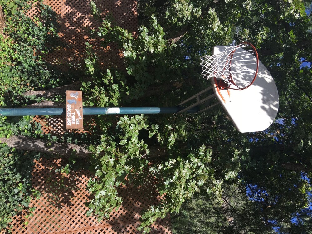 Basketball Court