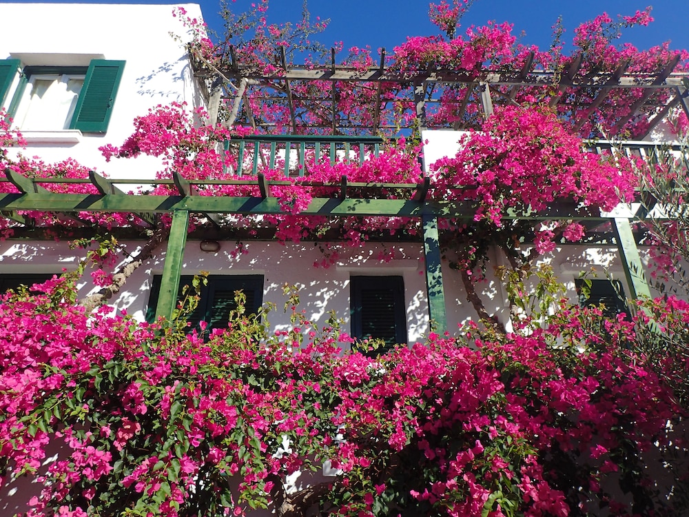 Courtyard View