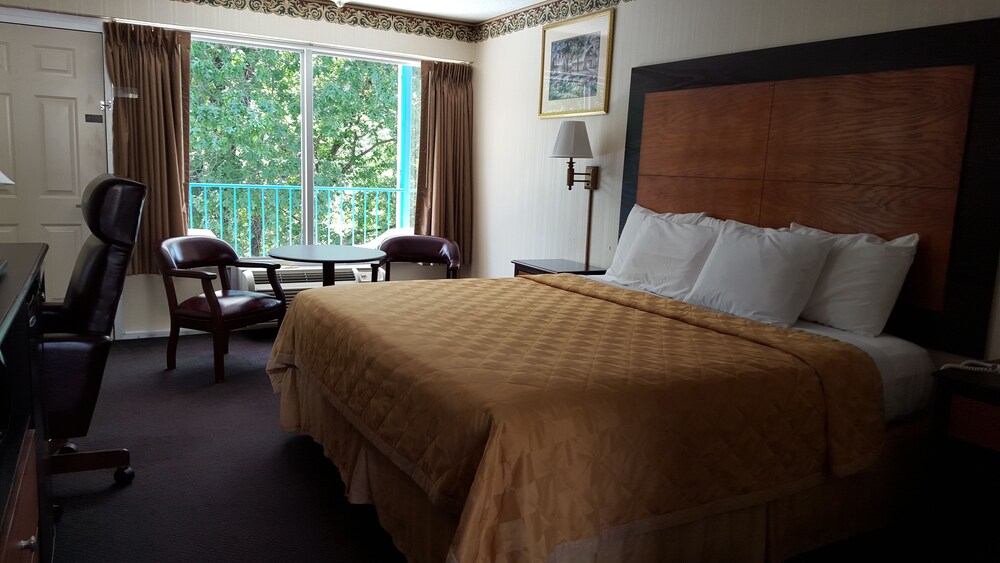 Guestroom View