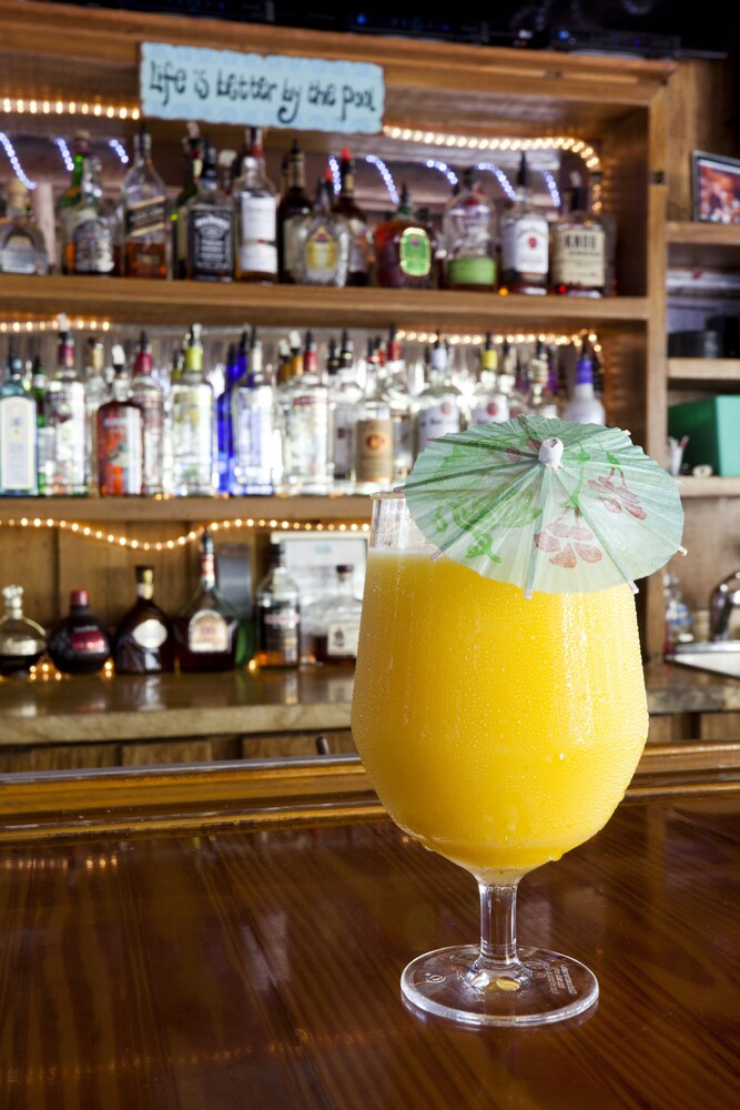 Poolside Bar