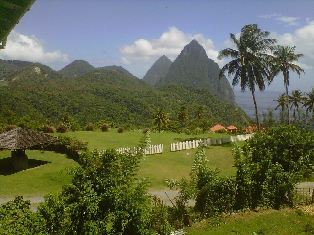 Guestroom View