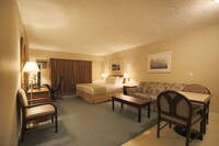 Efficiency, Room, 1 King Bed with Sofa bed, Non Smoking