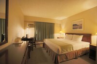 Business Room, 1 King Bed, Non Smoking