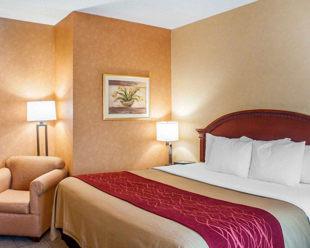 Room, Quality Inn Near Walden Galleria Mall