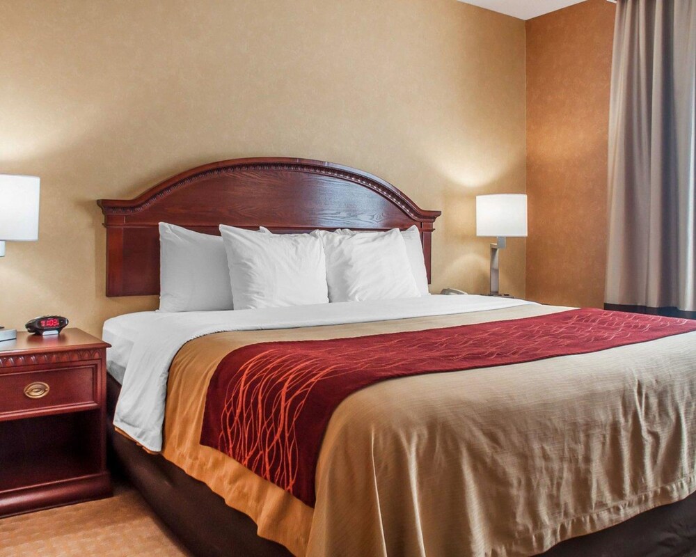 Room, Quality Inn Near Walden Galleria Mall