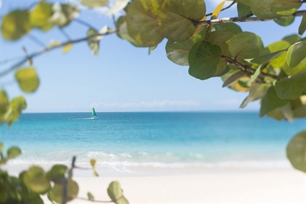 Beach/Ocean View