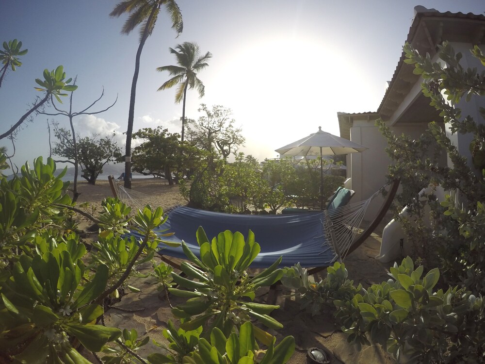 Beach/Ocean View