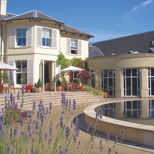 The Vineyard