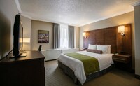 Standard Room, 1 Double Bed, Non Smoking