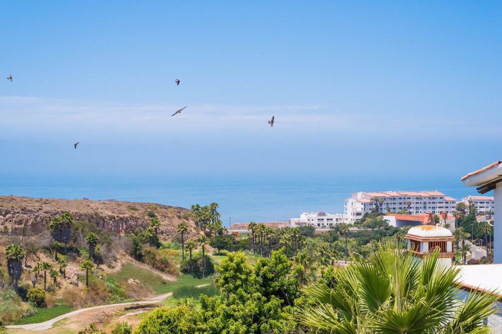 Beach/Ocean View