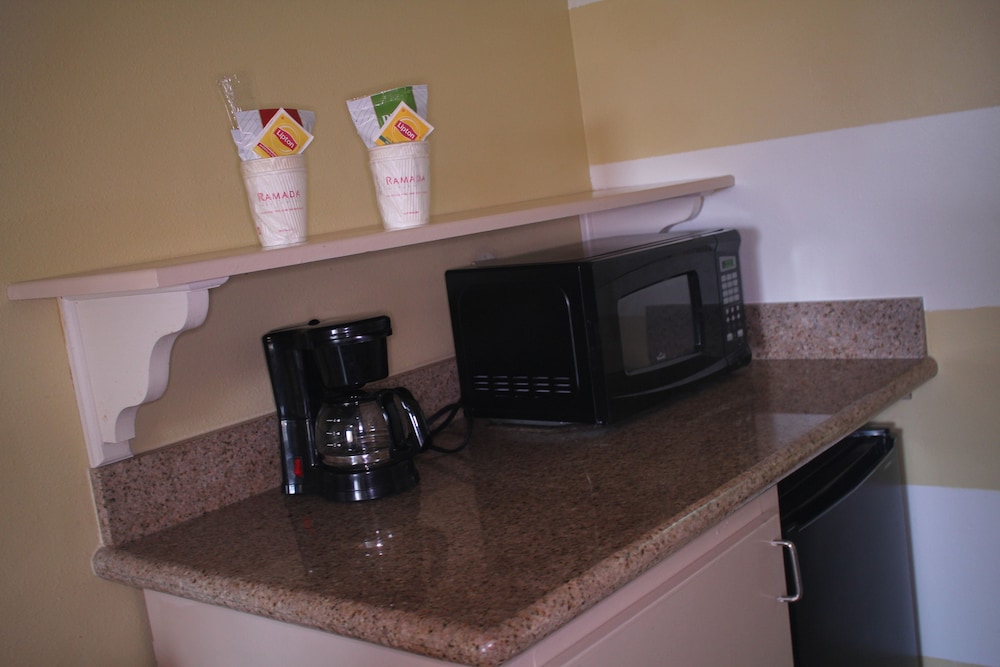 Mini-Refrigerator