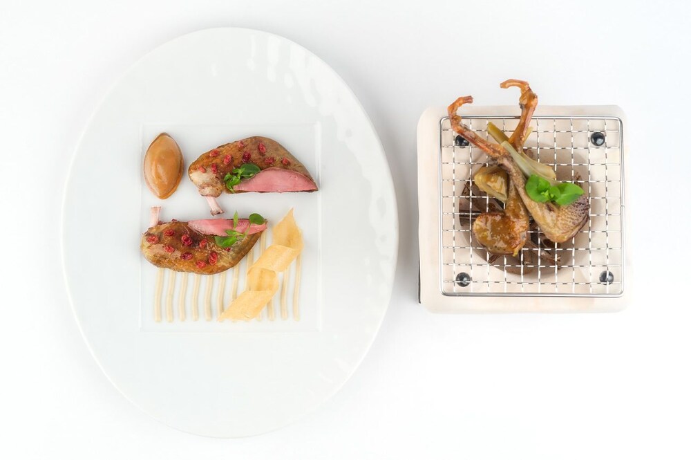 식사 및 음료