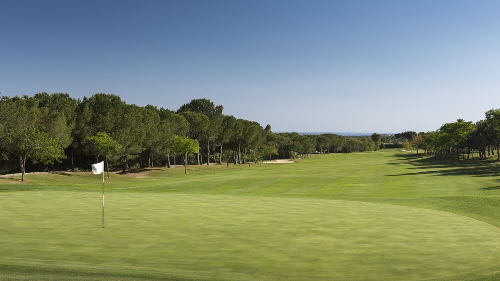 Campo de golf