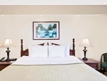 Myrtle Beach Vacations - Baymont Inn And Suites Georgetown/Near Georgetown Marina - Property Image 5