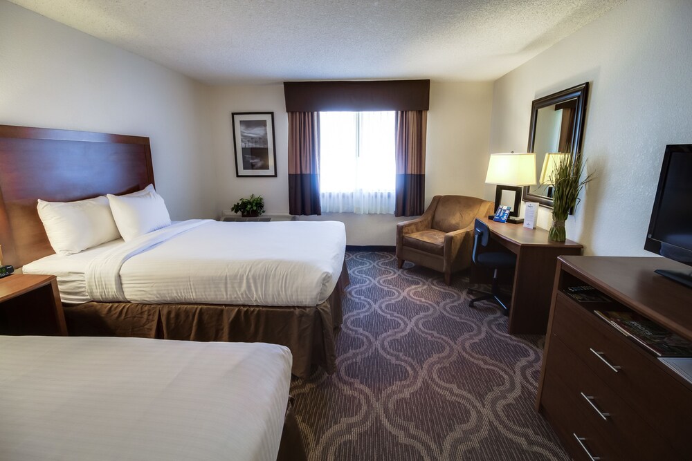 Room, Ashmore Inn and Suites