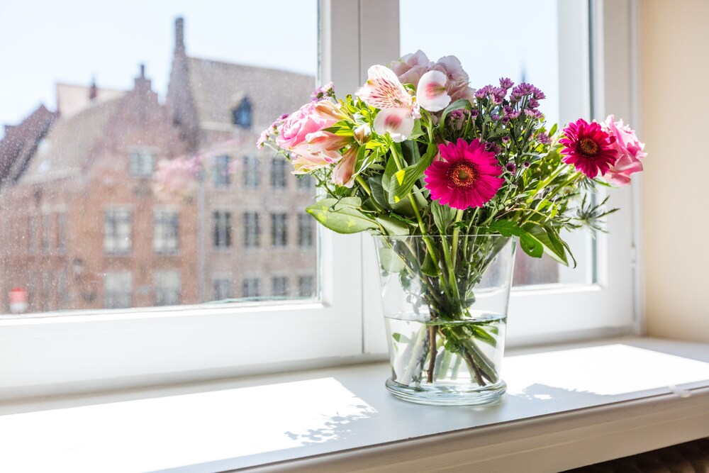 In-Room Amenity