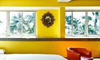 Suite, 1 King Bed
