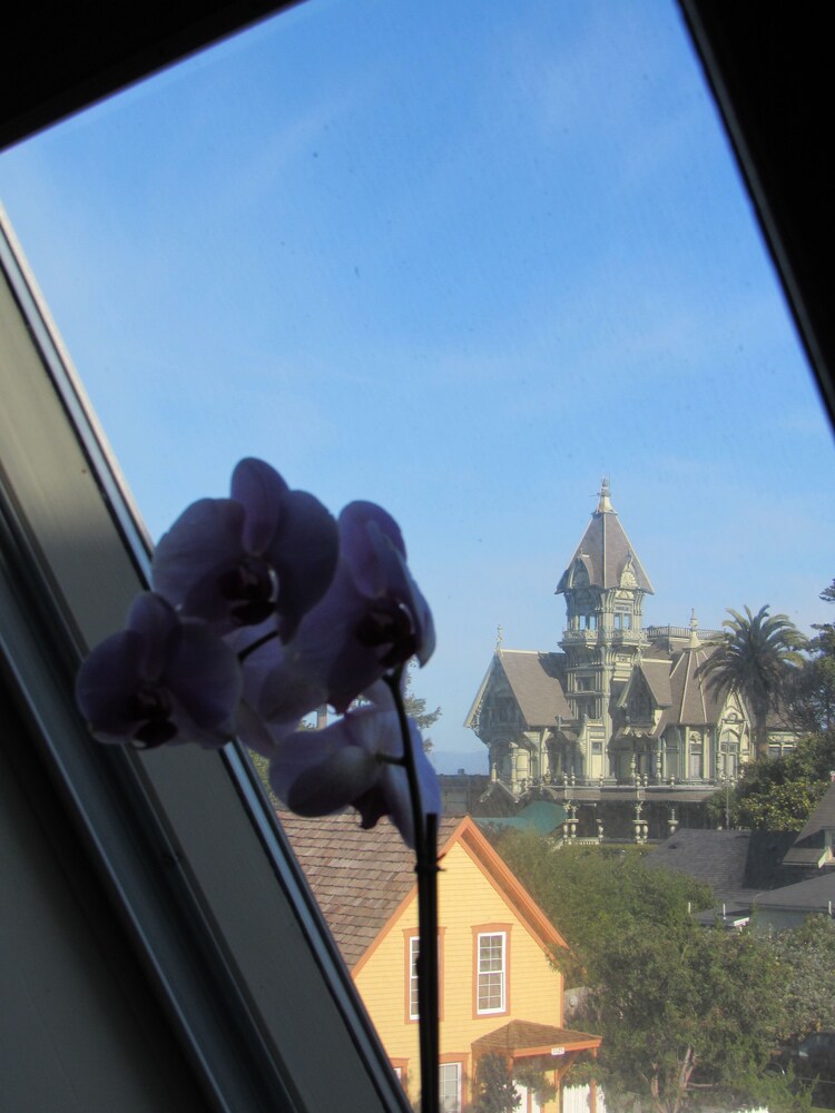 View from Hotel