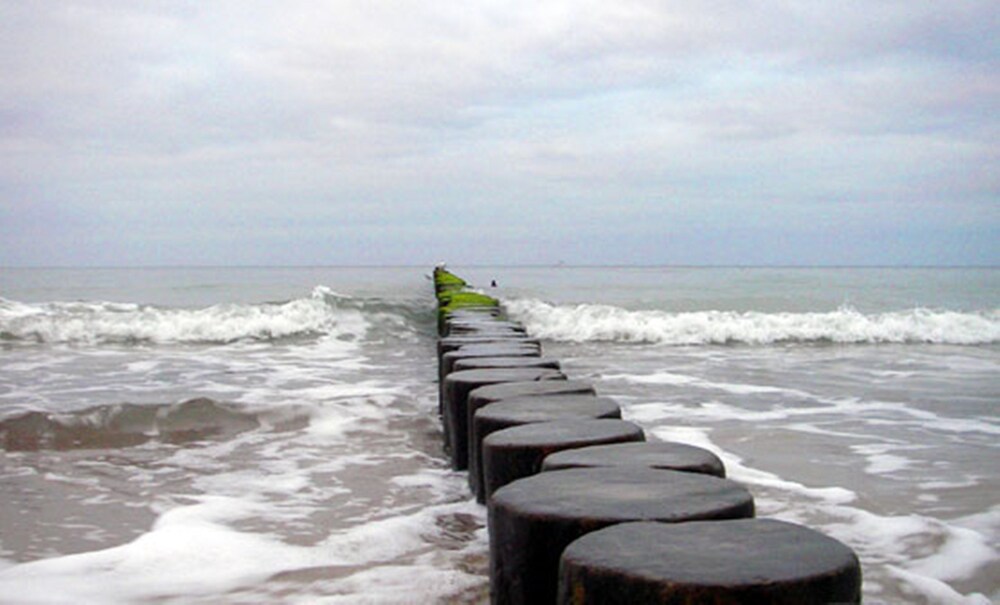 Beach/Ocean View