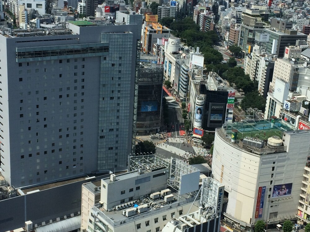 ホテルからの眺望