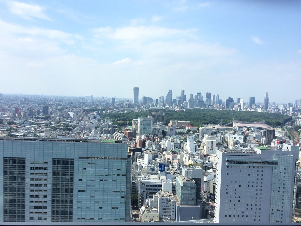 客室からの眺望