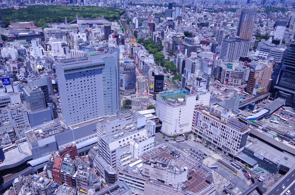 航空写真