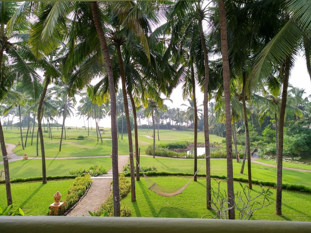 Guestroom View