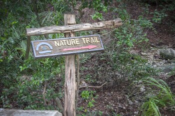 Hiking