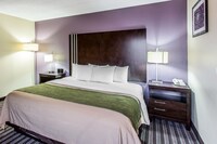 Suite, 1 King Bed, Non Smoking