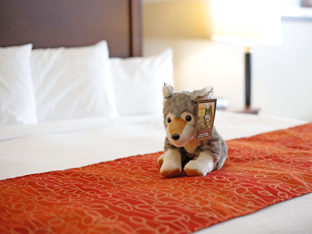 In-Room Amenity