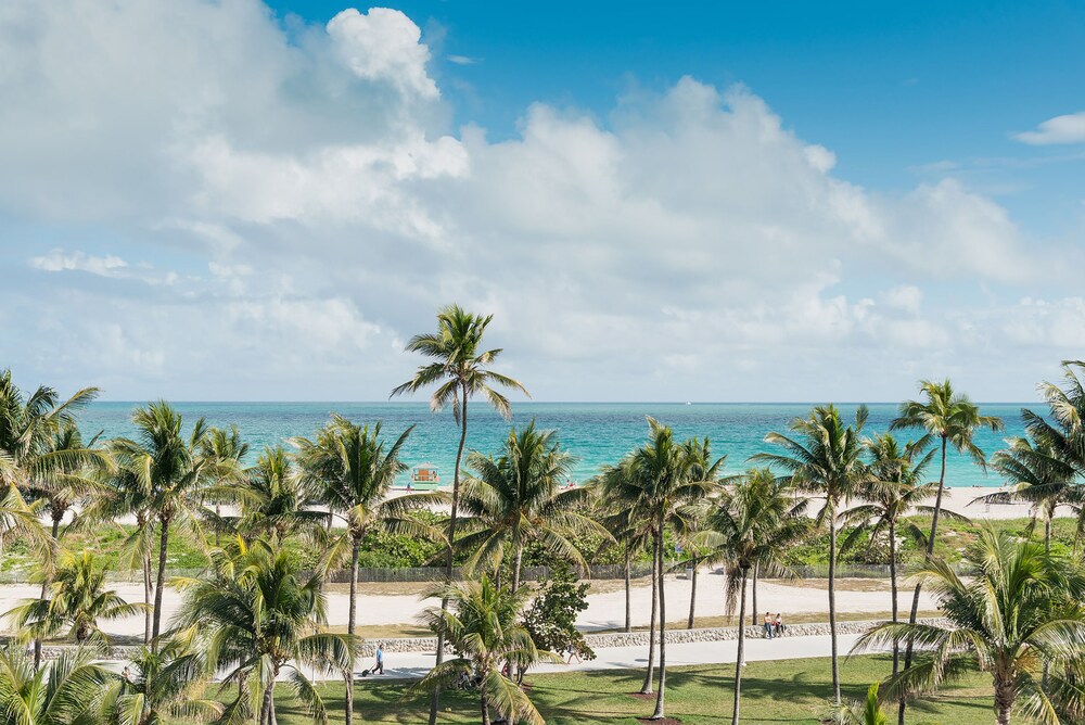 Beach/Ocean View