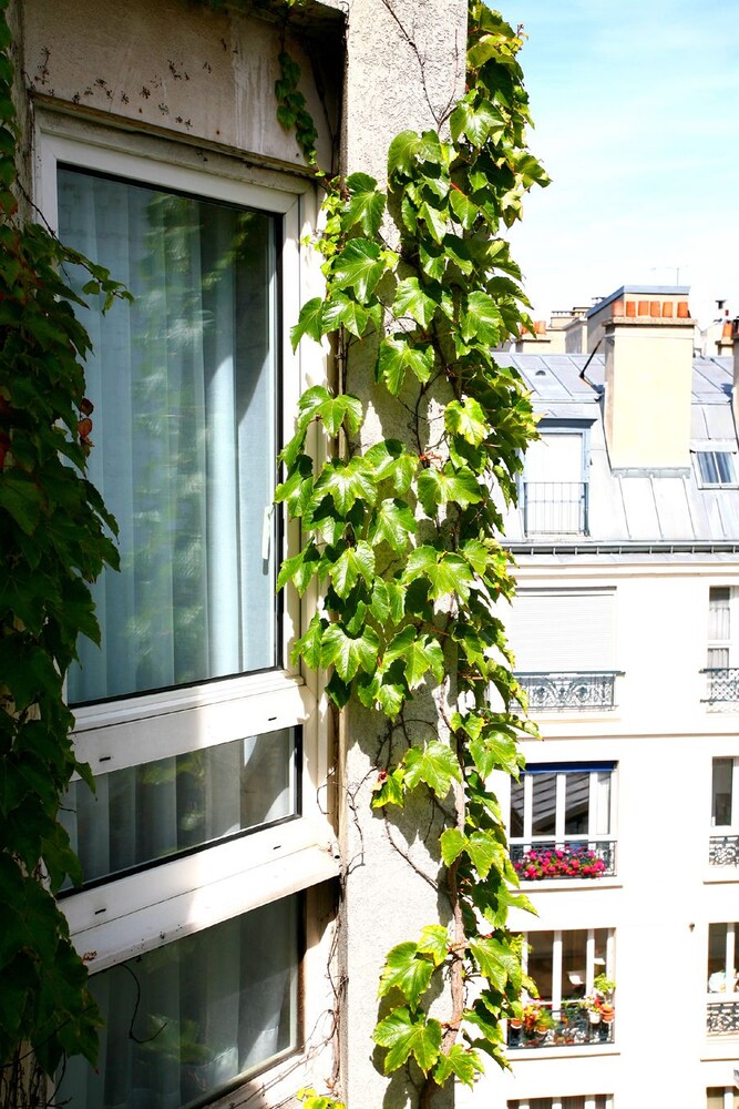 Courtyard View