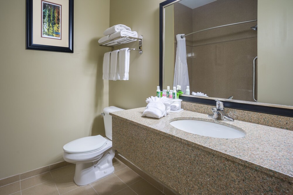 In-Room Amenity