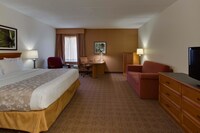 Executive Room, 1 King Bed