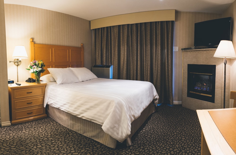 Standard Studio Suite, 1 Queen Bed - Guestroom