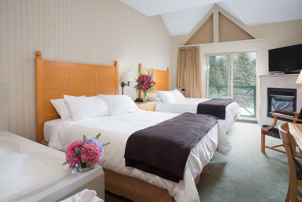 Deluxe Studio Suite - Guestroom