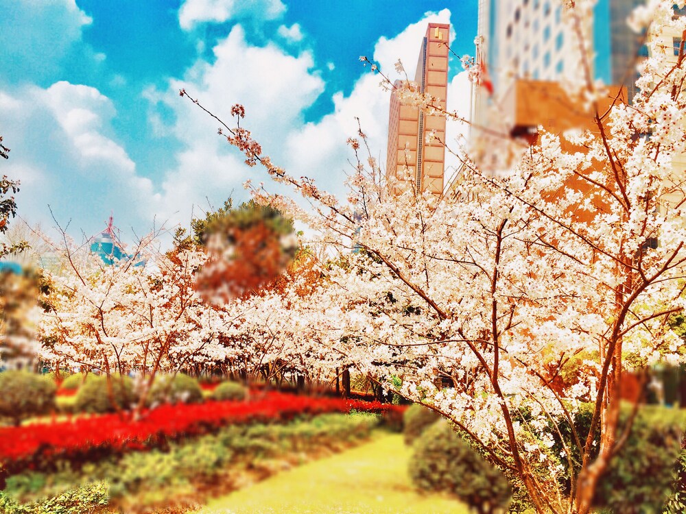 City View