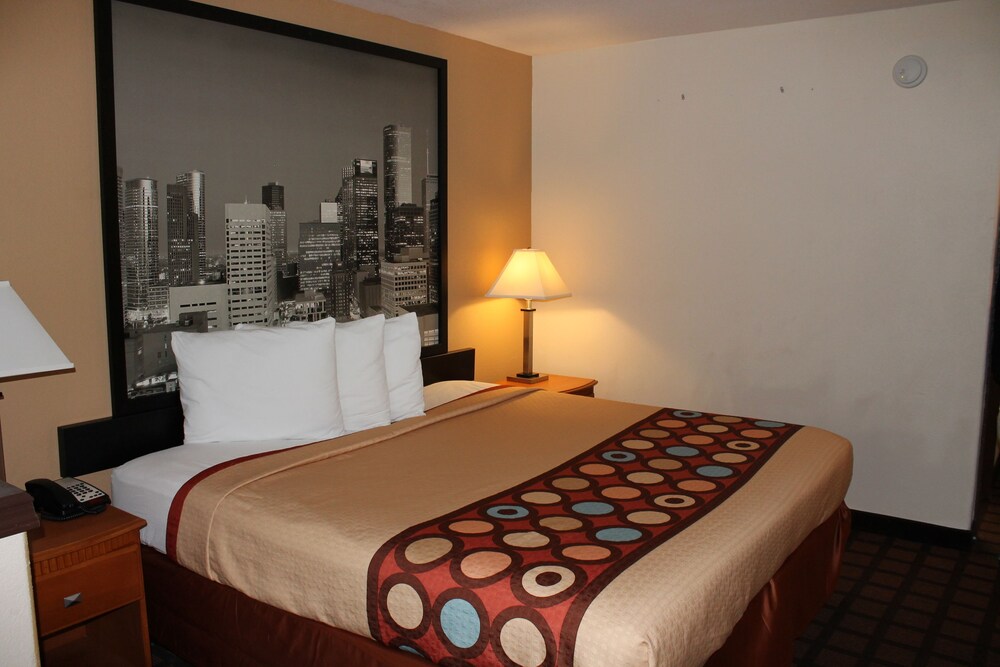 Guestroom View
