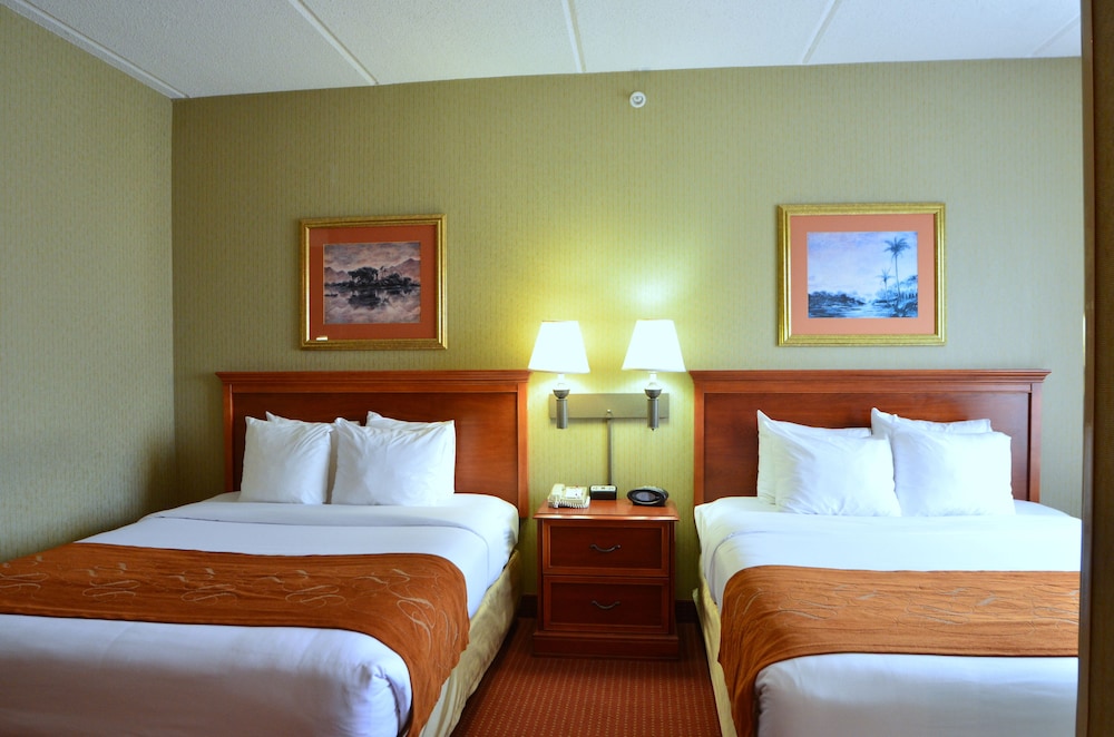 Guestroom View