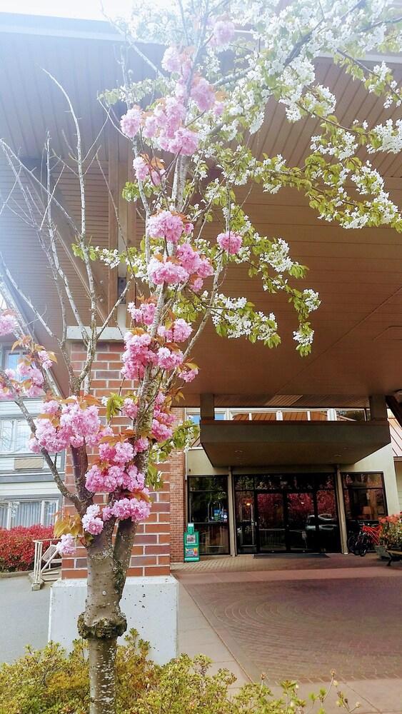 Hotel Entrance