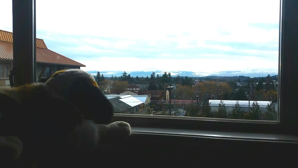 View from Hotel