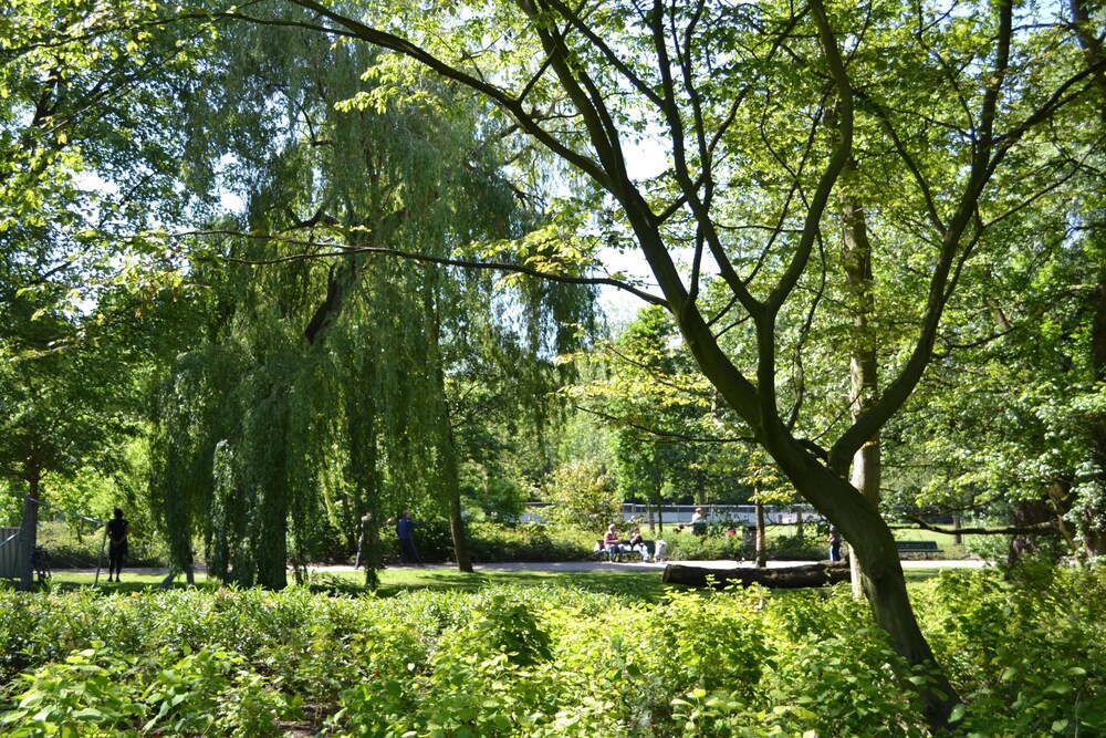 Sports Facility