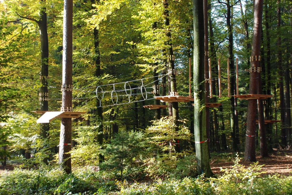 Ropes Course (Team Building)