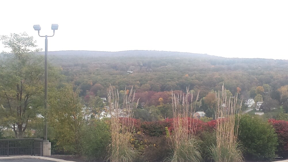 View from Hotel